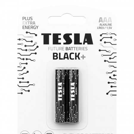 Bateria Alcalina Tesla Aaa Black+[2X120]