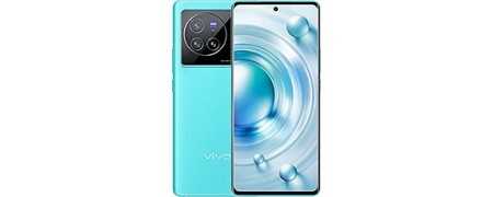 Capas Vivo X80